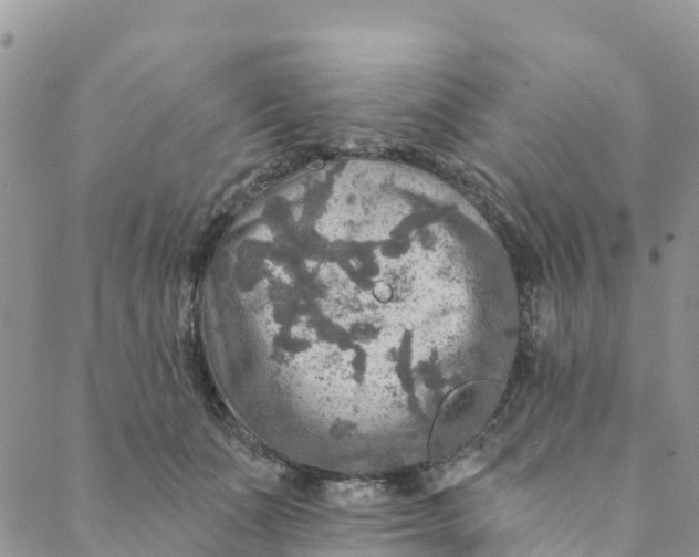 X0000088390511200706121213