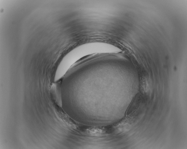 X0000088390512200706121213