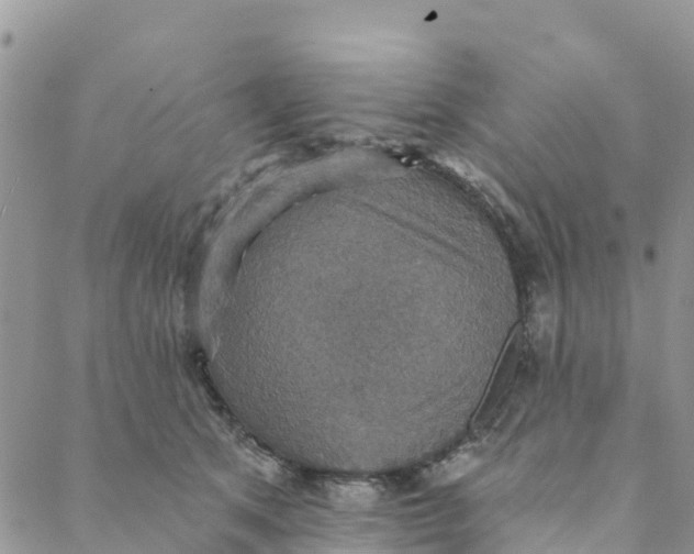 X0000088390513200706121213