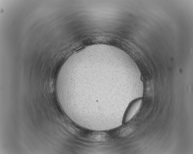 X0000088390514200706121213