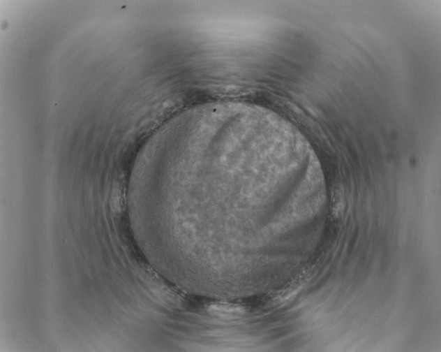 X0000088390515200706121213