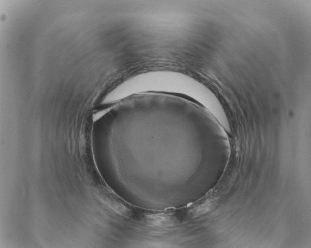 X0000088390516200706121213