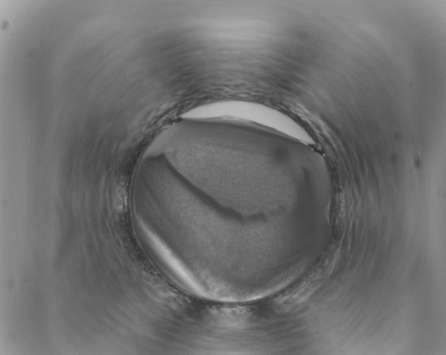 X0000088390517200706121213