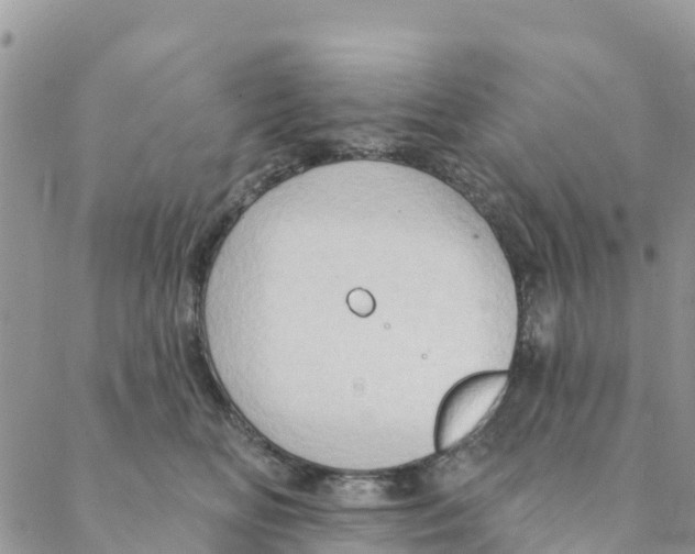 X0000088390518200706121213