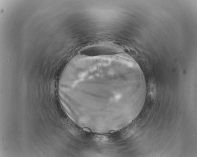 X0000088390519200706121213