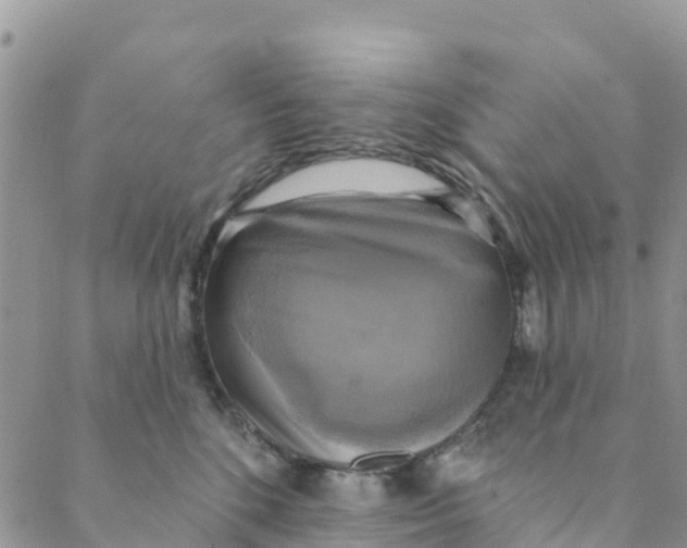 X0000088390520200706121213