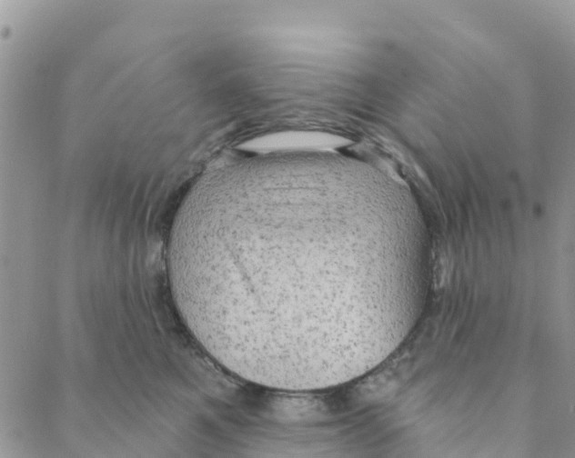 X0000088390521200706121213