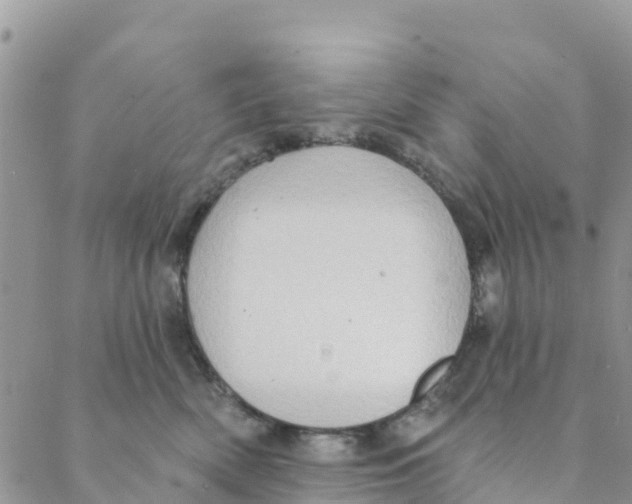 X0000088390522200706121213