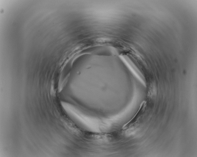 X0000088390524200706121213