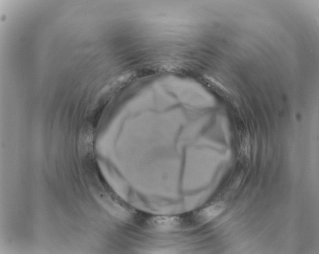 X0000088390526200706121213