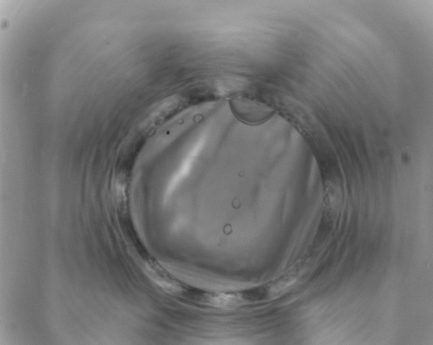 X0000088390527200706121213