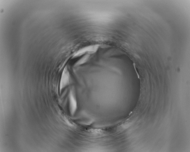 X0000088390528200706121213