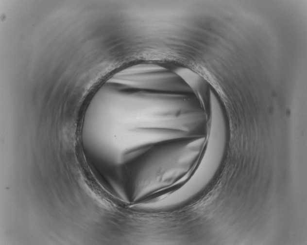 X0000088390530200706121212