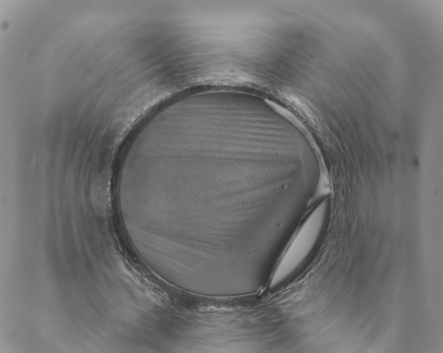 X0000088390531200706121212