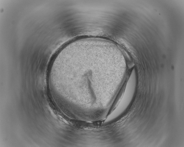 X0000088390532200706121212