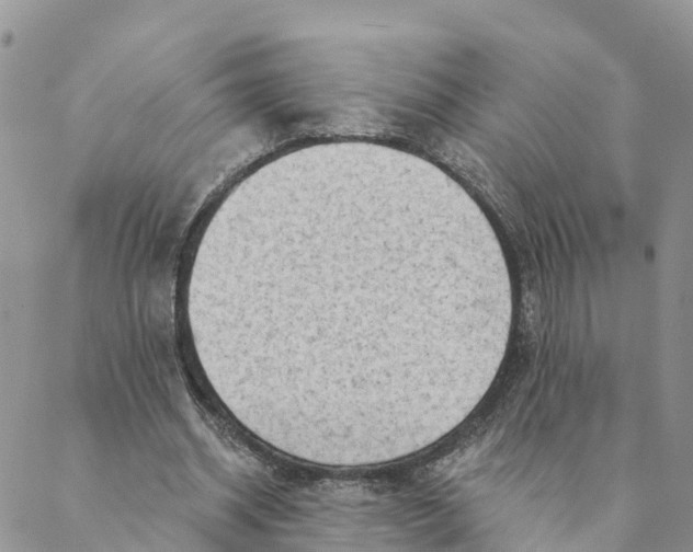 X0000088390534200706121212