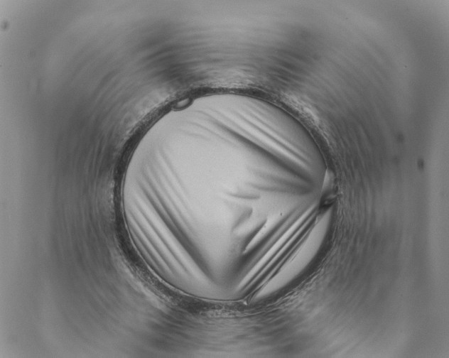 X0000088390535200706121212