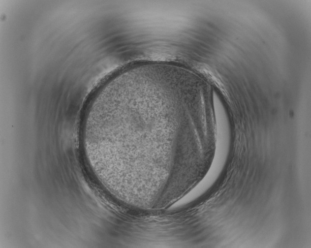 X0000088390536200706121212