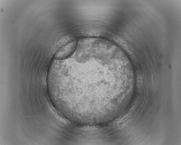 X0000088390537200706121212