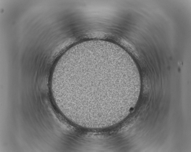 X0000088390538200706121212