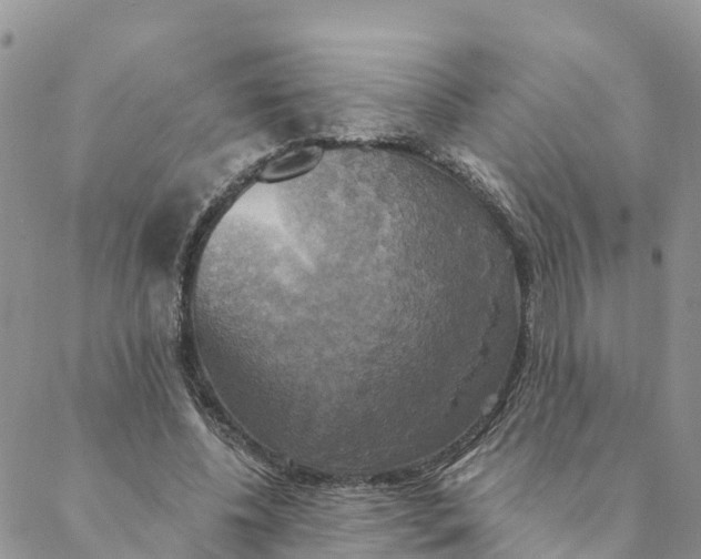 X0000088390540200706121212