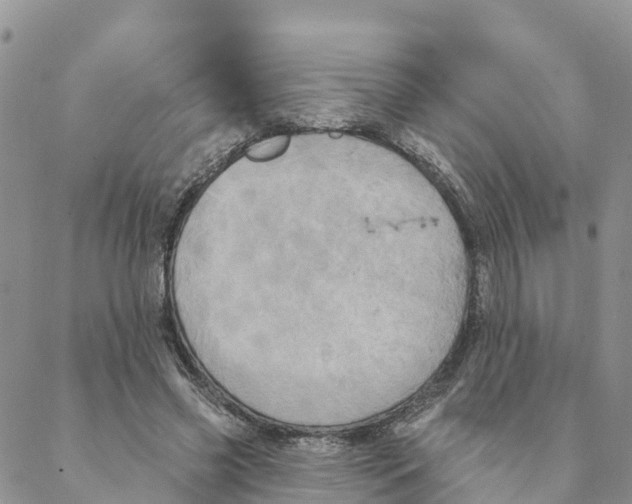 X0000088390541200706121212