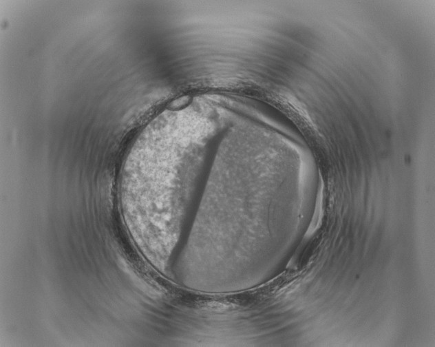 X0000088390542200706121212