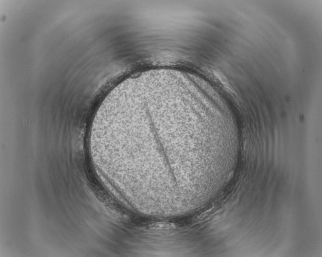 X0000088390543200706121212