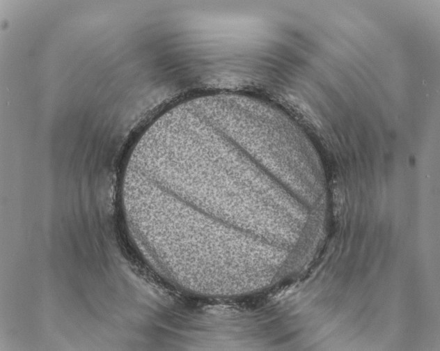 X0000088390544200706121212