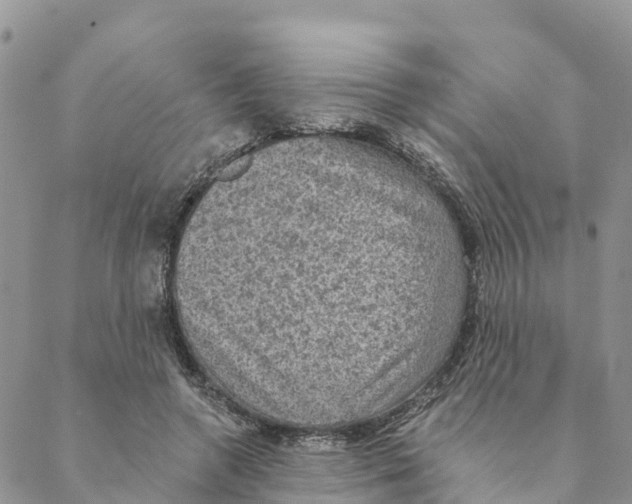 X0000088390546200706121212