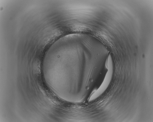 X0000088390547200706121212