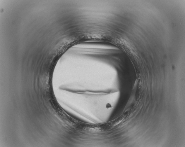 X0000088390548200706121212