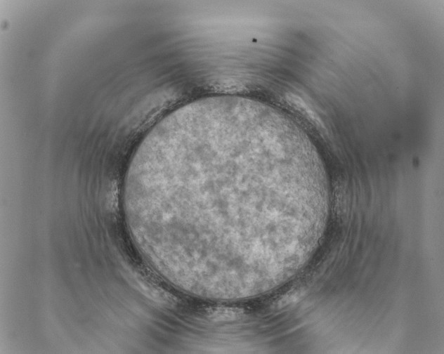 X0000088390549200706121212