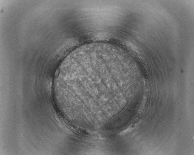 X0000088390550200706121212