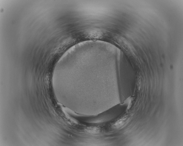 X0000088390551200706121212