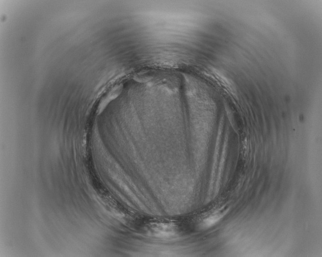 X0000088390552200706121212