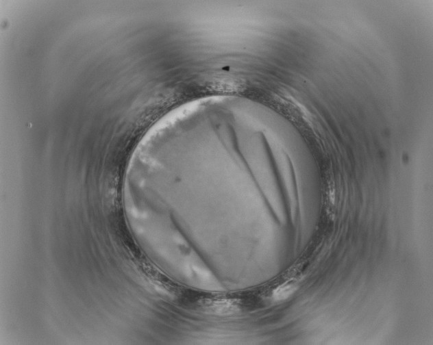 X0000088390553200706121213