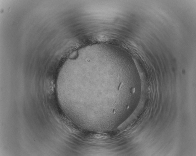 X0000088390555200706121213