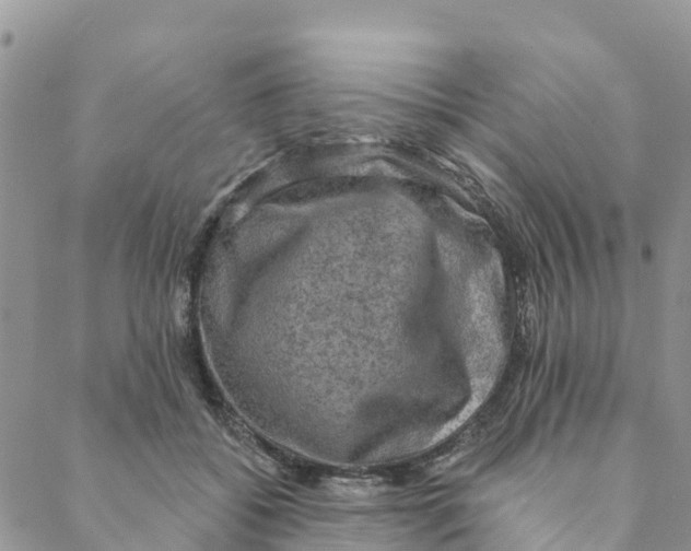 X0000088390556200706121213