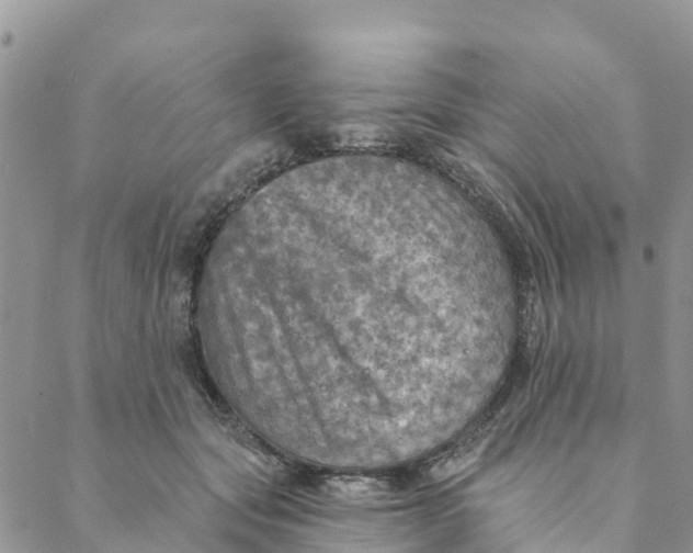 X0000088390557200706121213