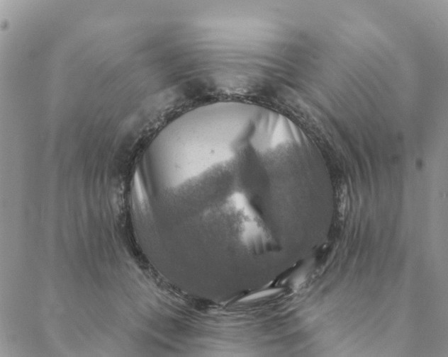 X0000088390559200706121213