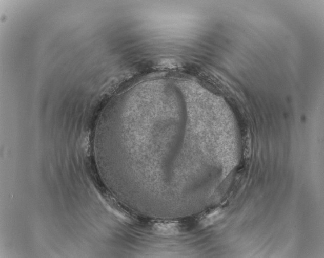 X0000088390560200706121213