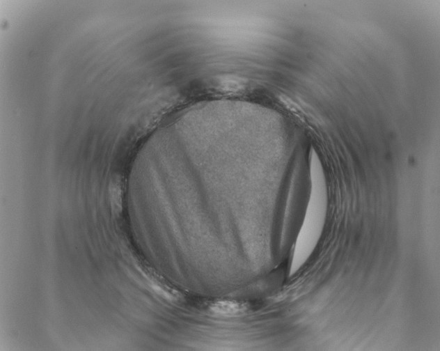 X0000088390562200706121213