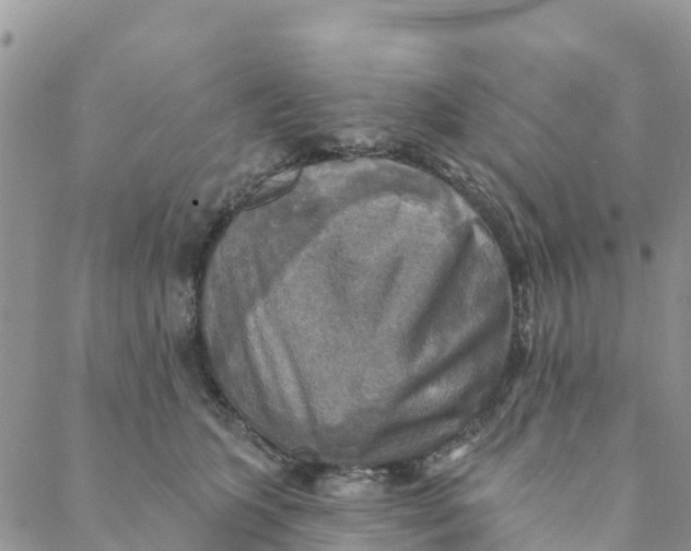 X0000088390563200706121213