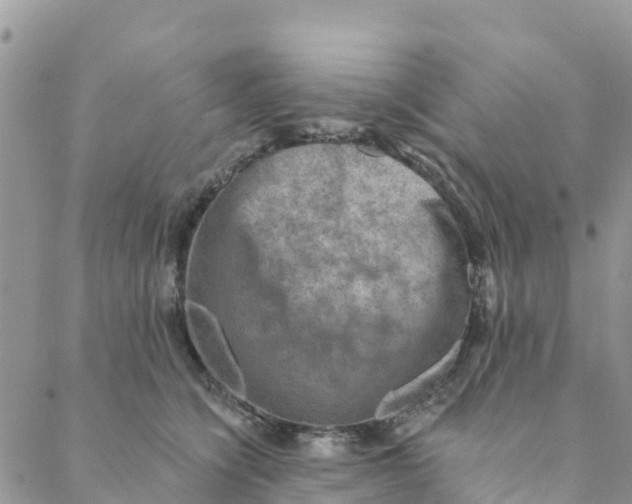 X0000088390564200706121213