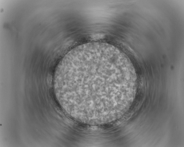 X0000088390565200706121213