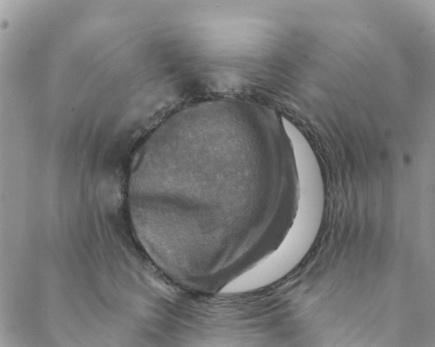 X0000088390566200706121213