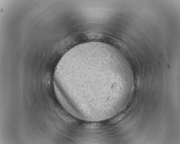 X0000088390567200706121213