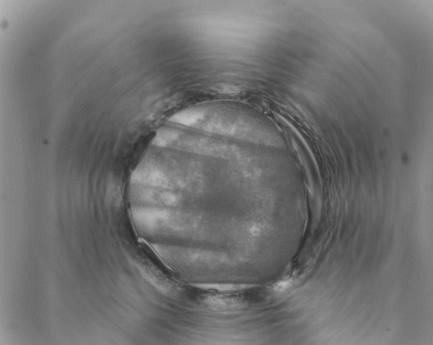 X0000088390568200706121213