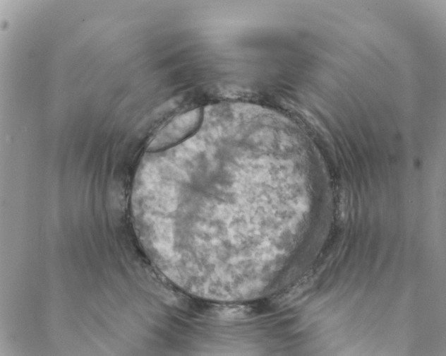 X0000088390569200706121213